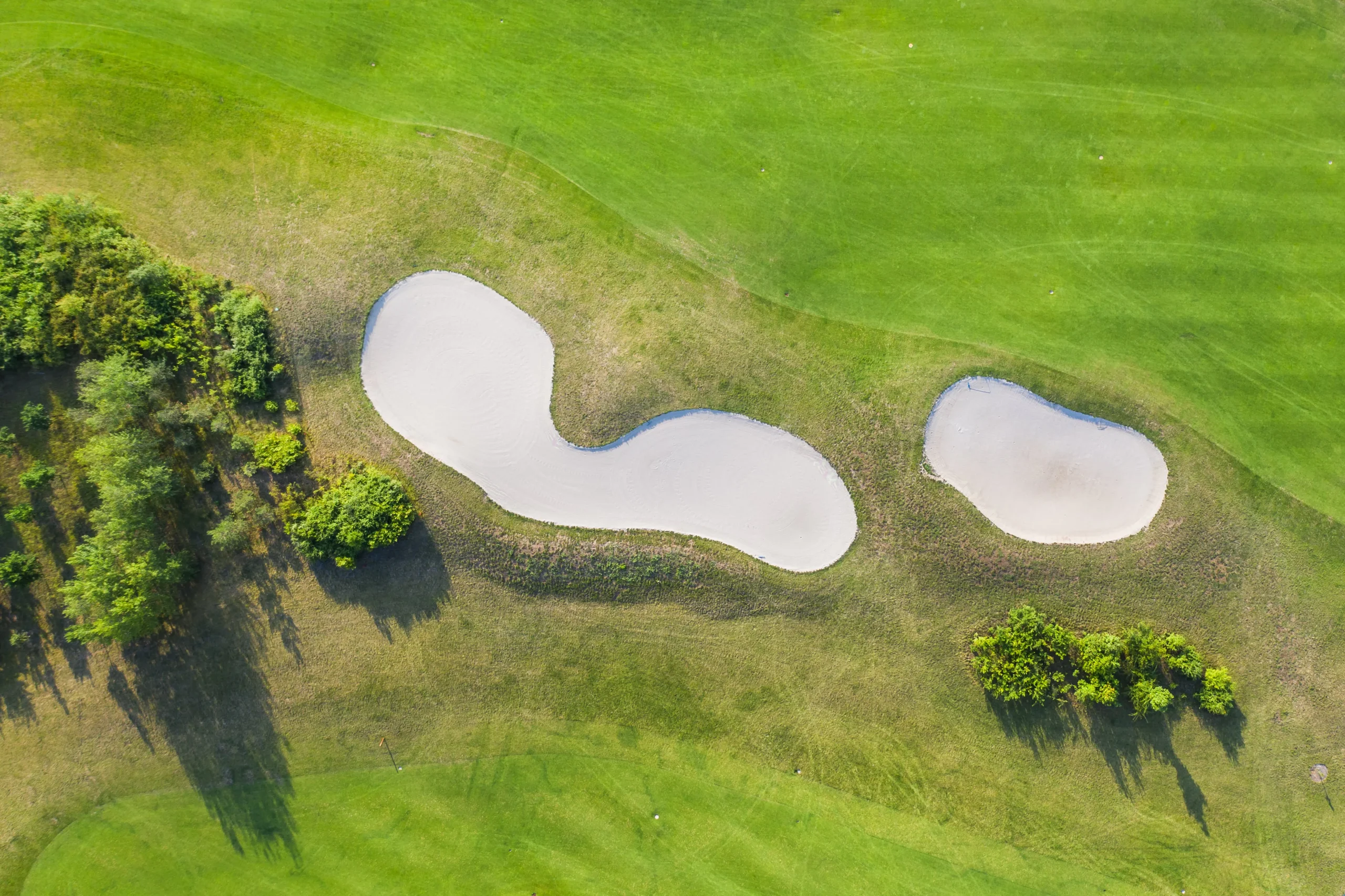 Thẻ golf 2026: Chọn đúng theo 5 nhóm nhu cầu - minh họa 1
