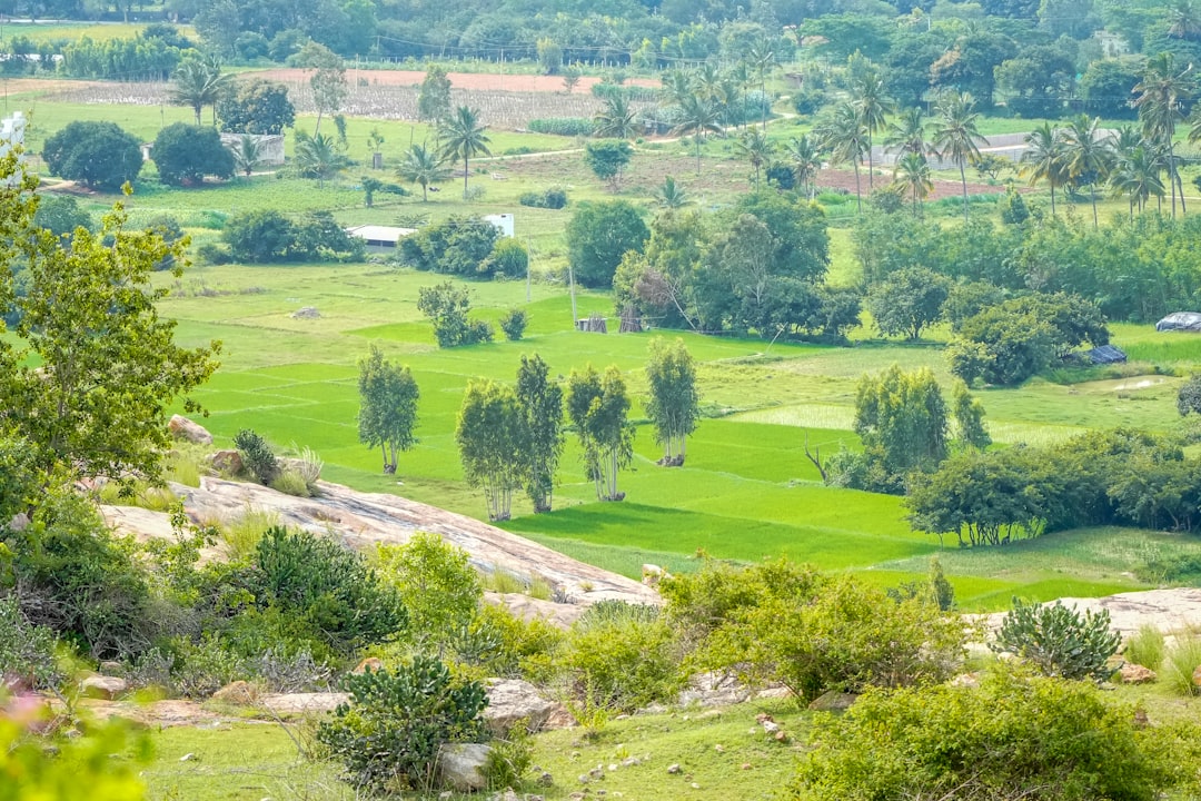 Thẻ golf 2026: Chọn đúng theo 5 nhóm nhu cầu - minh họa 3